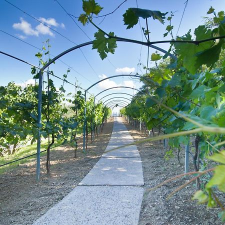 Agriturismo Il Vecchio Mandorlo เปรูจา ภายนอก รูปภาพ