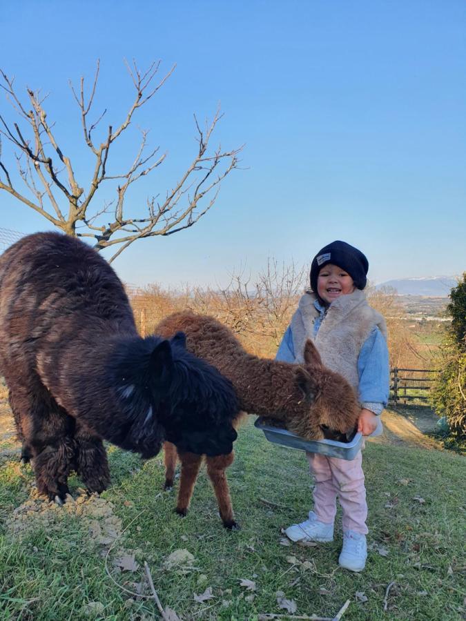 Agriturismo Il Vecchio Mandorlo เปรูจา ภายนอก รูปภาพ