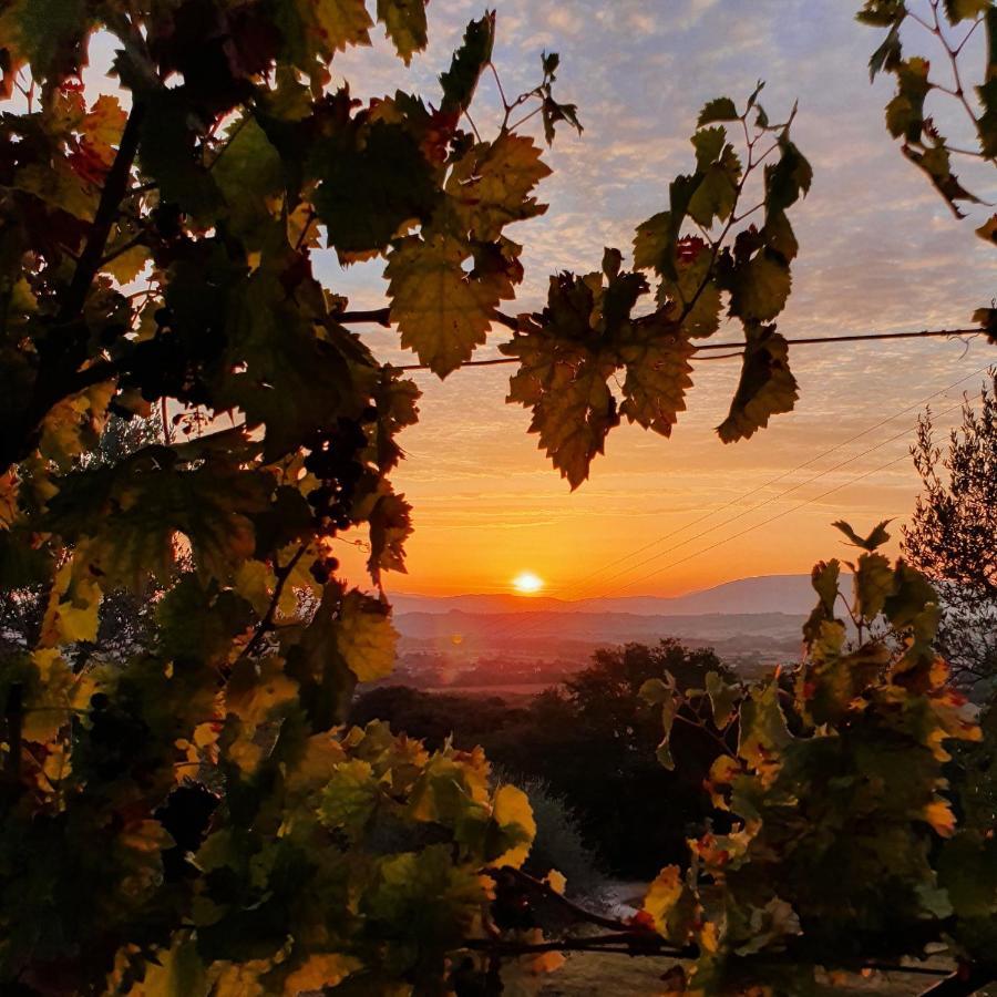 Agriturismo Il Vecchio Mandorlo เปรูจา ภายนอก รูปภาพ