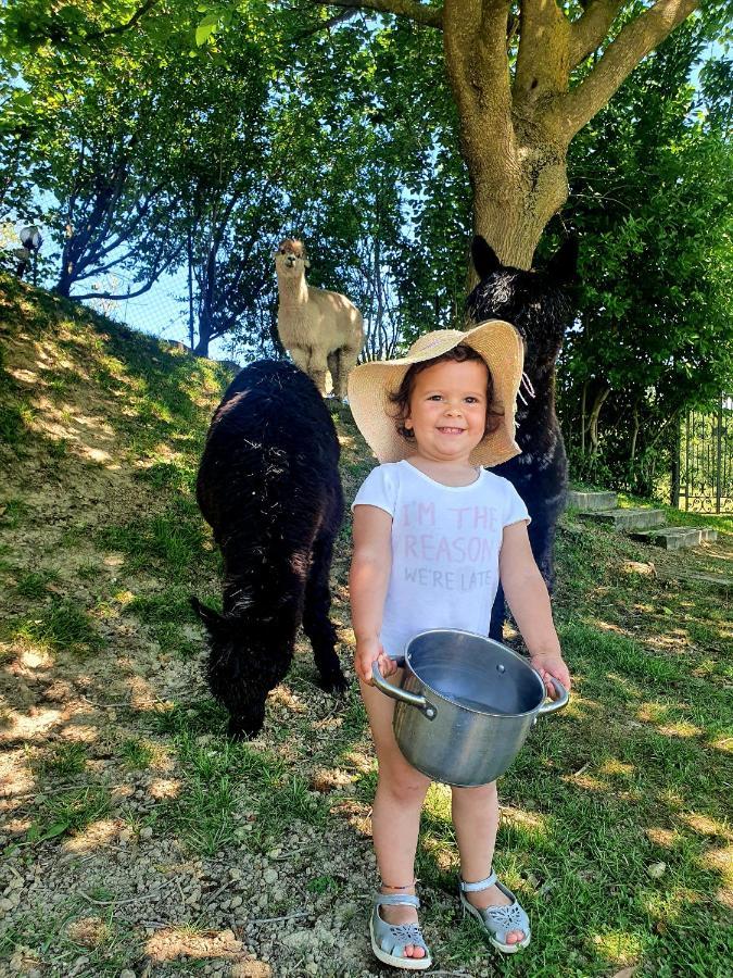 Agriturismo Il Vecchio Mandorlo เปรูจา ภายนอก รูปภาพ