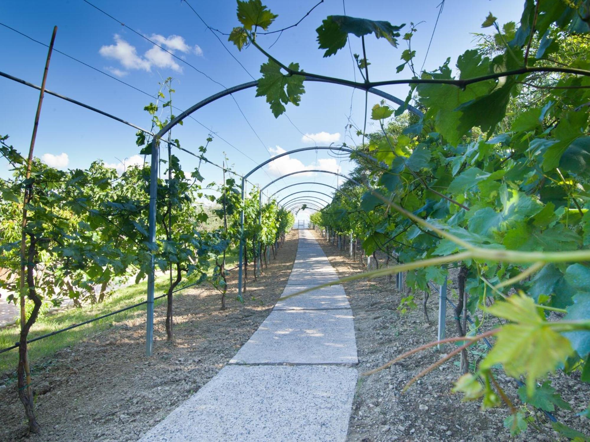Agriturismo Il Vecchio Mandorlo เปรูจา ภายนอก รูปภาพ